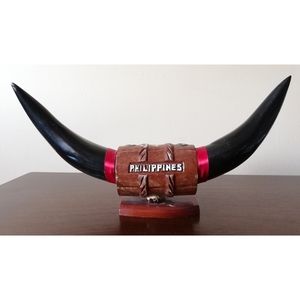 Water Buffalo Horn